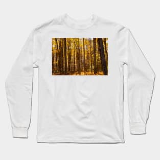 Autumn deep in forest scene on a trail Long Sleeve T-Shirt